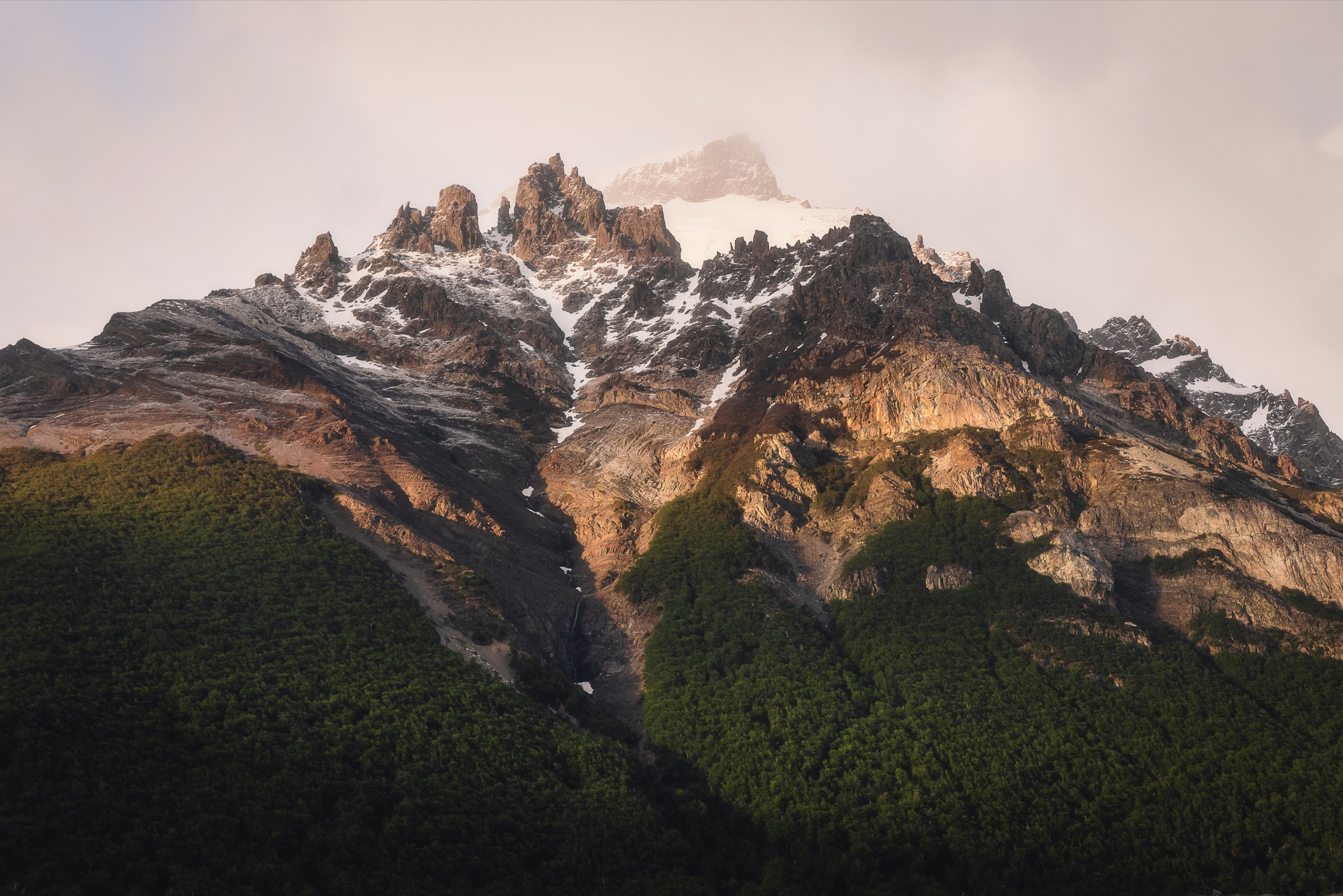 Montanha com neve e floresta iluminada por luz suave no fim do dia.